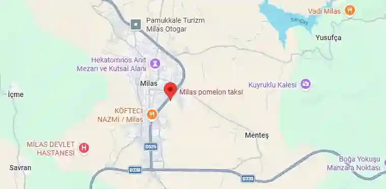 milas pomelon taksi google harita